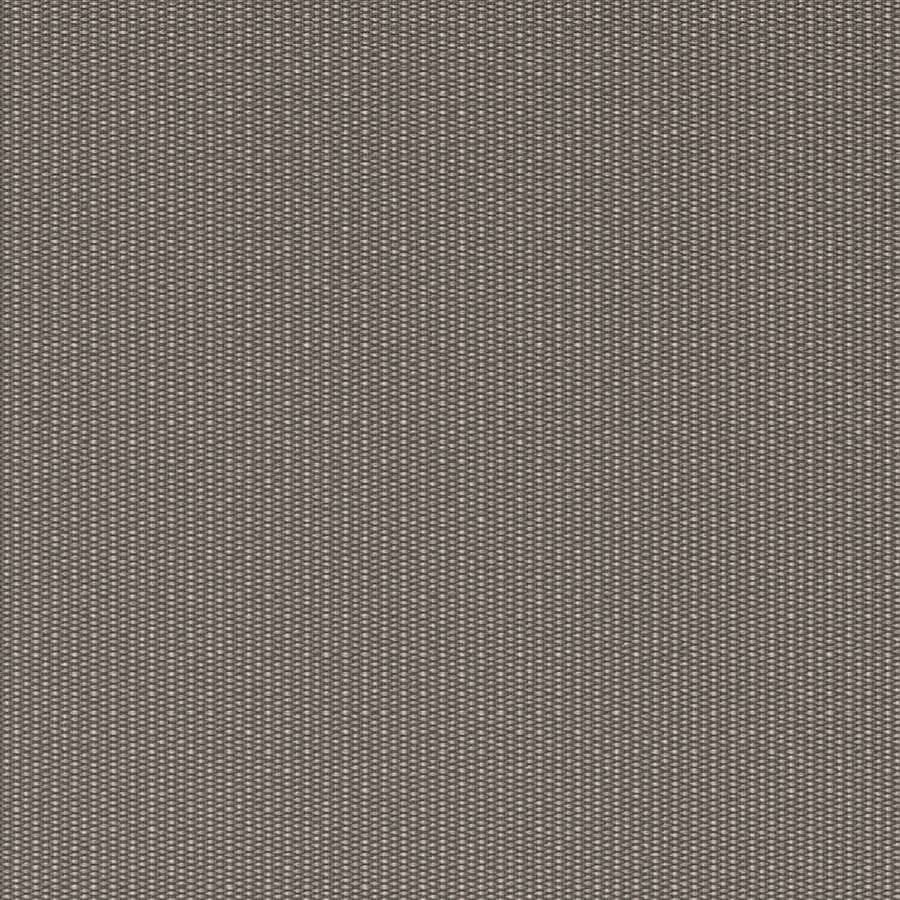 Strapping Fossil - Swatch